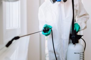 Say Goodbye to Cockroaches in Your House Without Killing Them! Detroit pest control